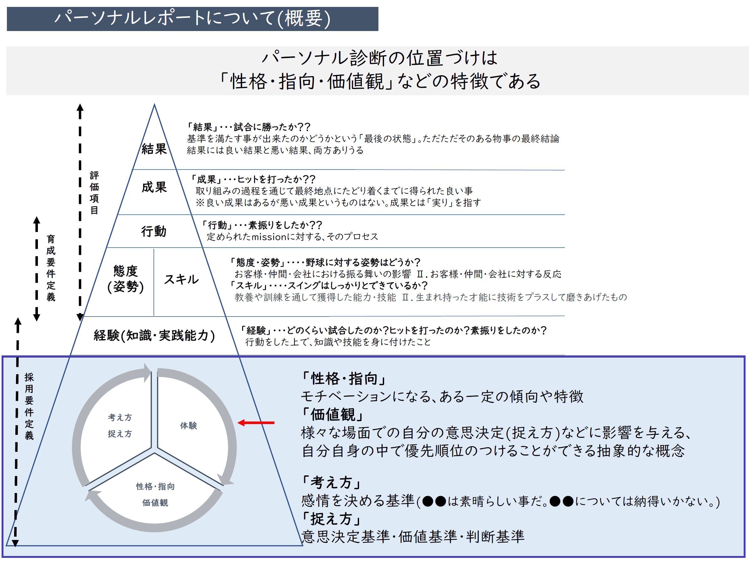 パーソナルレポート概要