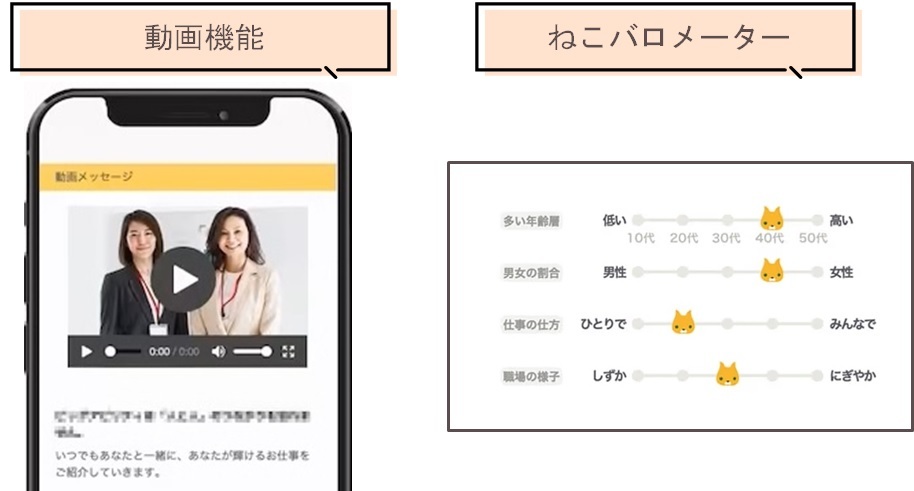 動画＆ねこバロメーター